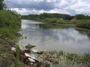 Четыре томских озера признаны экстремально грязными