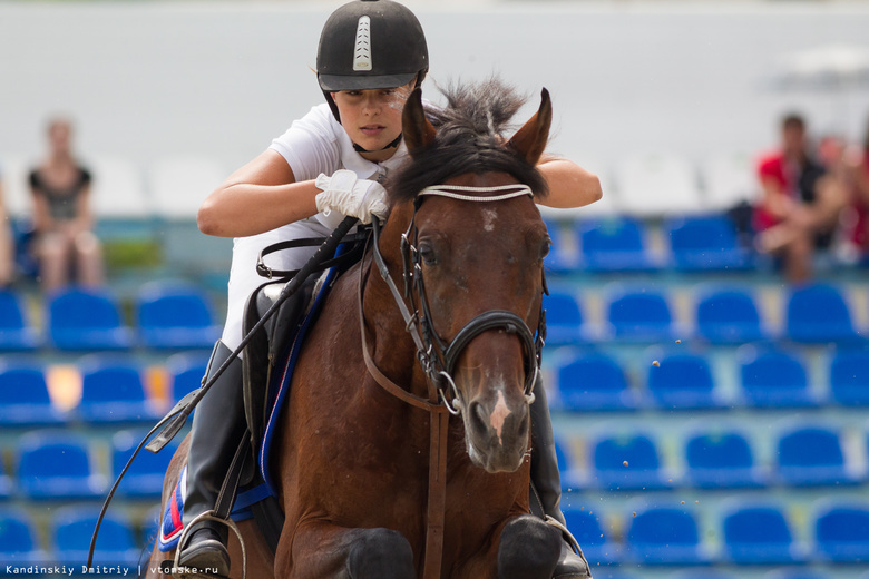 Верхом вперед к победе: как в Томске проходят соревнования по конному спорту