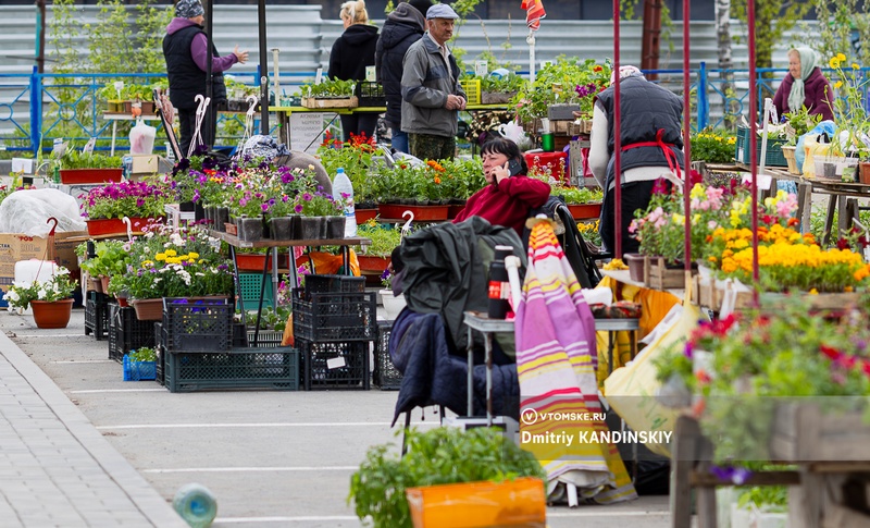 Фермерские продукты, мед от пчеловодов и рассада: томичей приглашают на ярмарку «Урожай-2025»