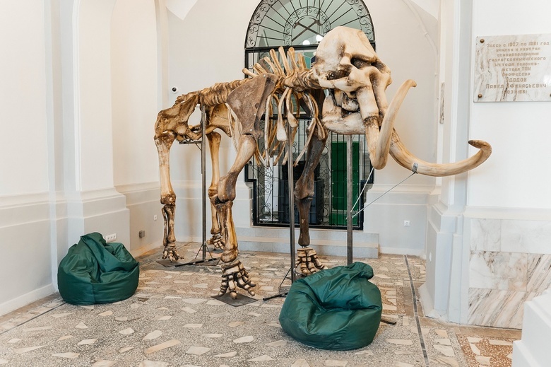 Томский университет напечатал скелет мамонта на 3D-принтере