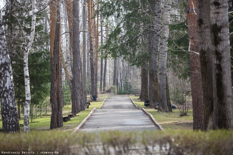Обработку зеленых территорий Томска от клещей начнут в конце апреля