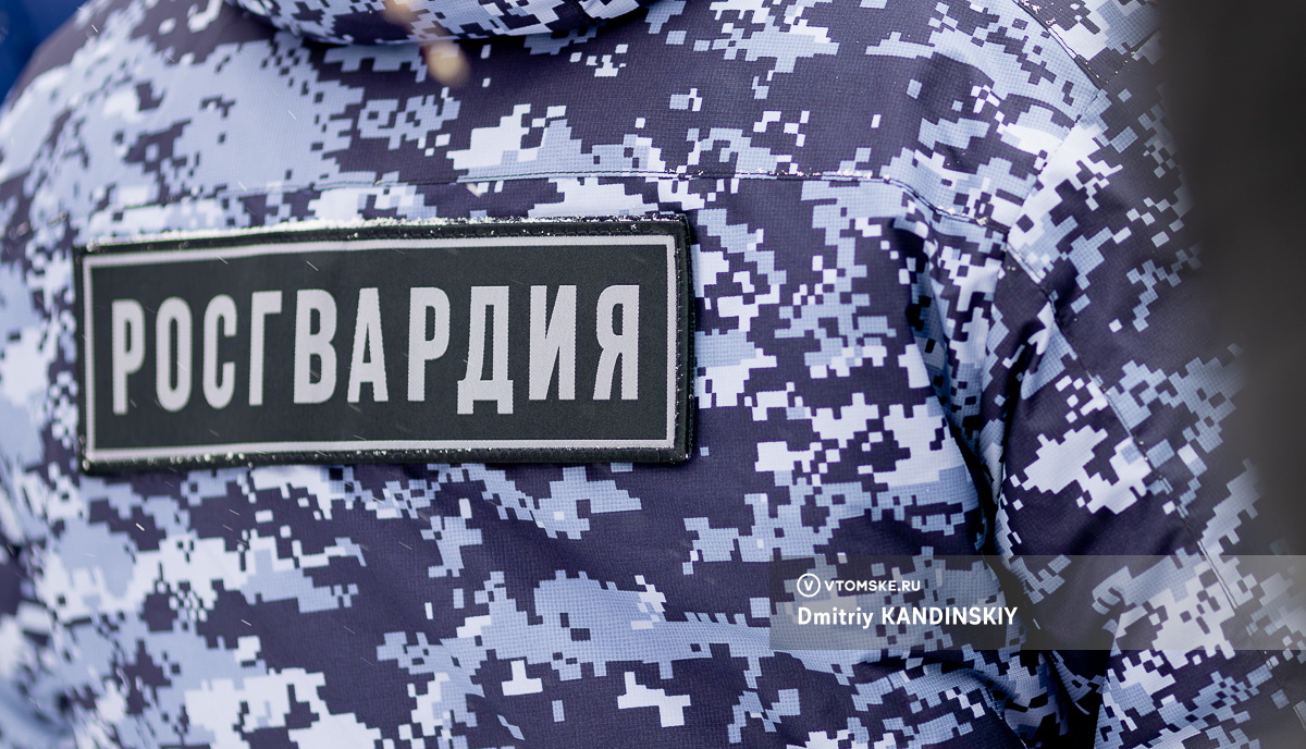 Гранату начала XX века нашли на приусадебном участке в Томской области
