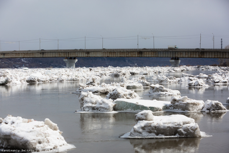 За сутки уровень воды в Томи у Лагерного сада понизился почти на 2,8 метра