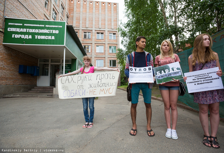 Около 40 человек пришли на пикет против убийства животных «САХом» (фото)