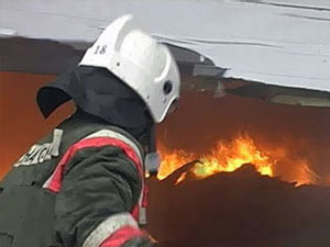 В Корнилово сгорели четыре козы и 30 кур