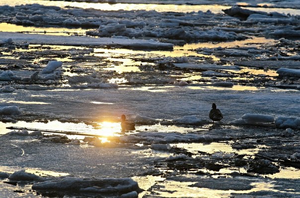Фотолента: лед тронулся
