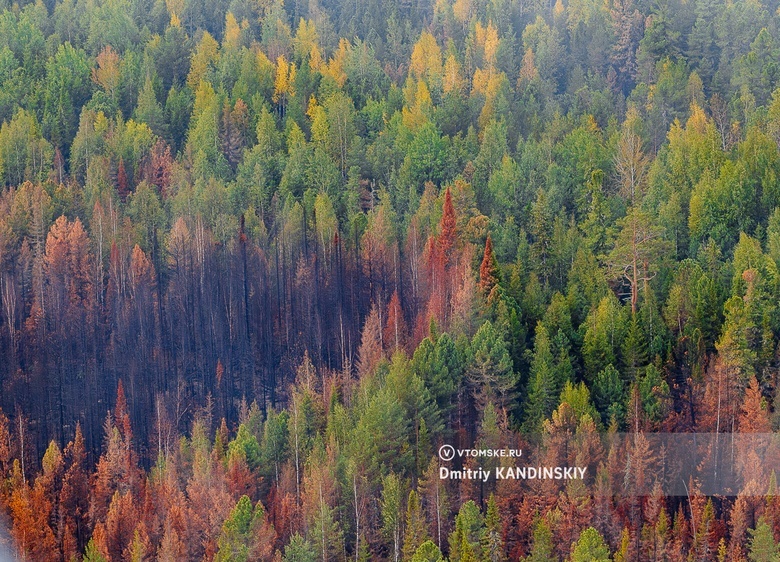 Пожароопасный сезон закрыт в Томской области. Потушено 82 тыс га горящего леса