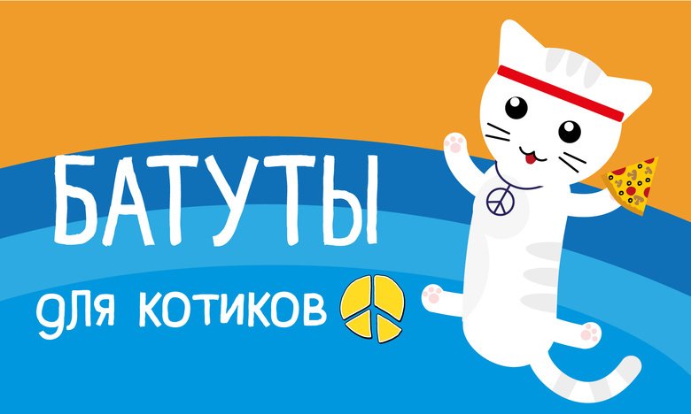Томичей приглашают на «Батуты для котиков»