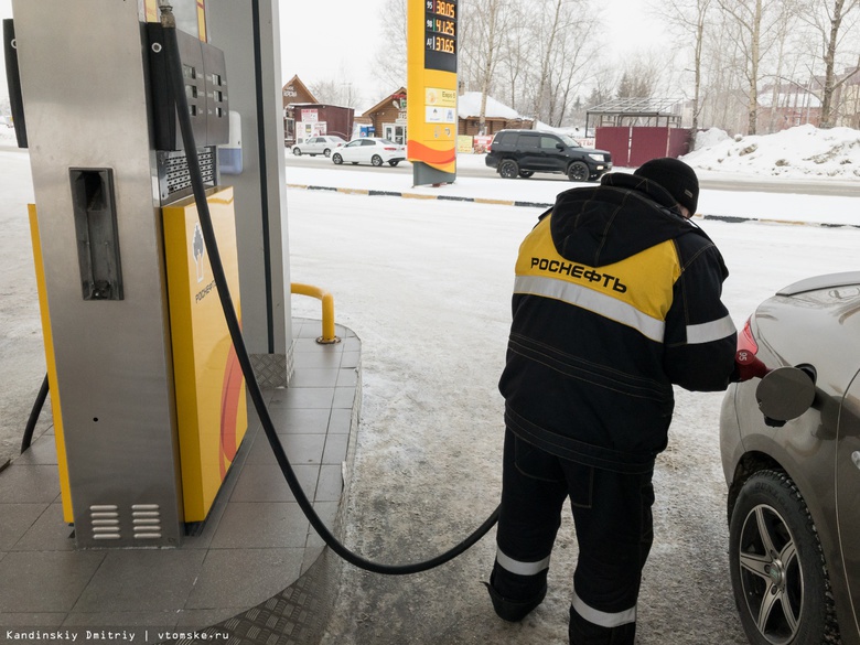 Цены на бензин и дизтопливо изменились за неделю на ряде томских заправок