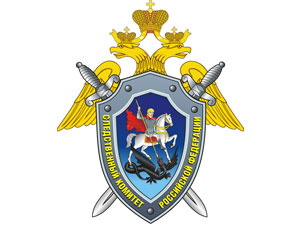 Уголовное дело по факту пиротехнических ожогов у школьника пока не возбуждено