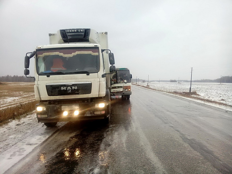 В ДТП с автобусом и грузовиком травмированы две женщины (фото)