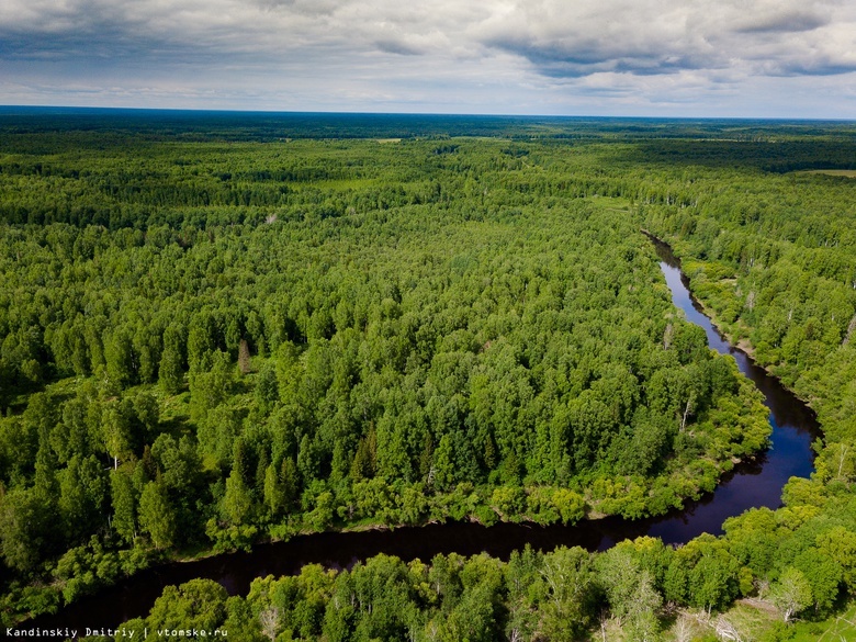 Туристический лагерь с домиками обустроят на Васюганских болотах в Томской области