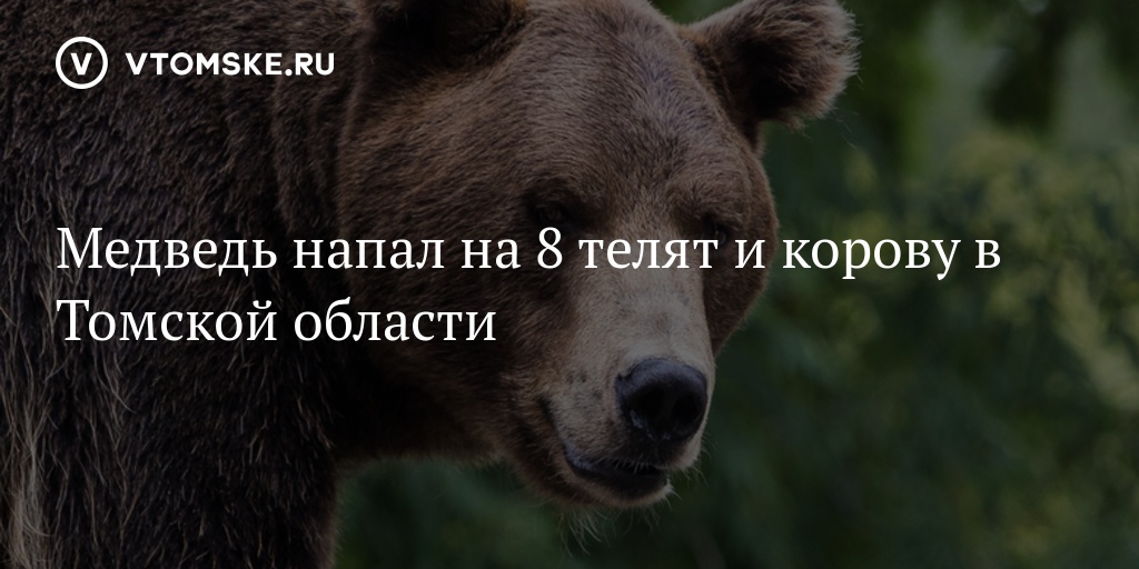 https://dn1.vtomske.ru/a/53/3e/533e4198592d7397f54027360576c71e_shbb3893.jpg
