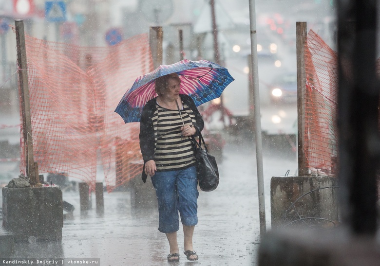 Дожди, грозы и тепло: прогноз погоды в Томске на конец июля