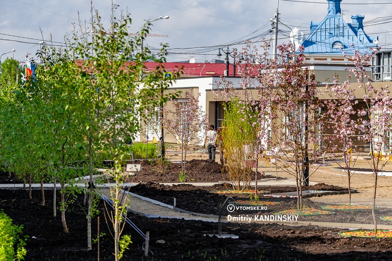 Новые деревья и кустарники высадили за павильонами на пл.Ленина в Томске