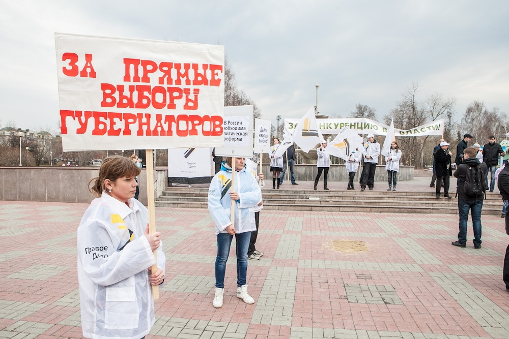 Митинг «За прямые выборы губернаторов» собрал около полусотни человек (фото)