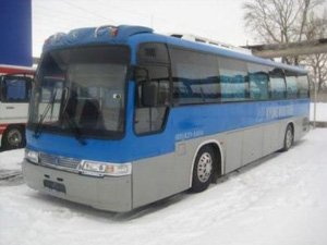Из-за морозов отменены междугородние рейсы