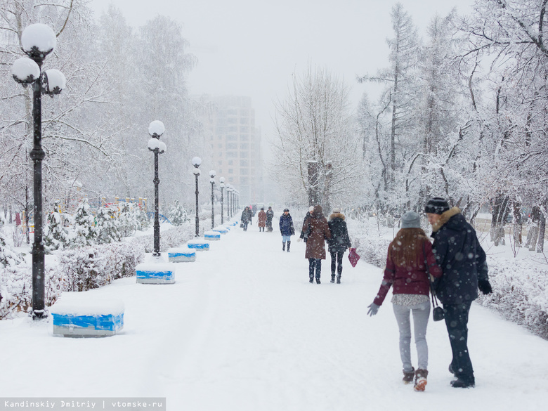 Снегопад и шквалистый ветер ожидаются в Томске в понедельник