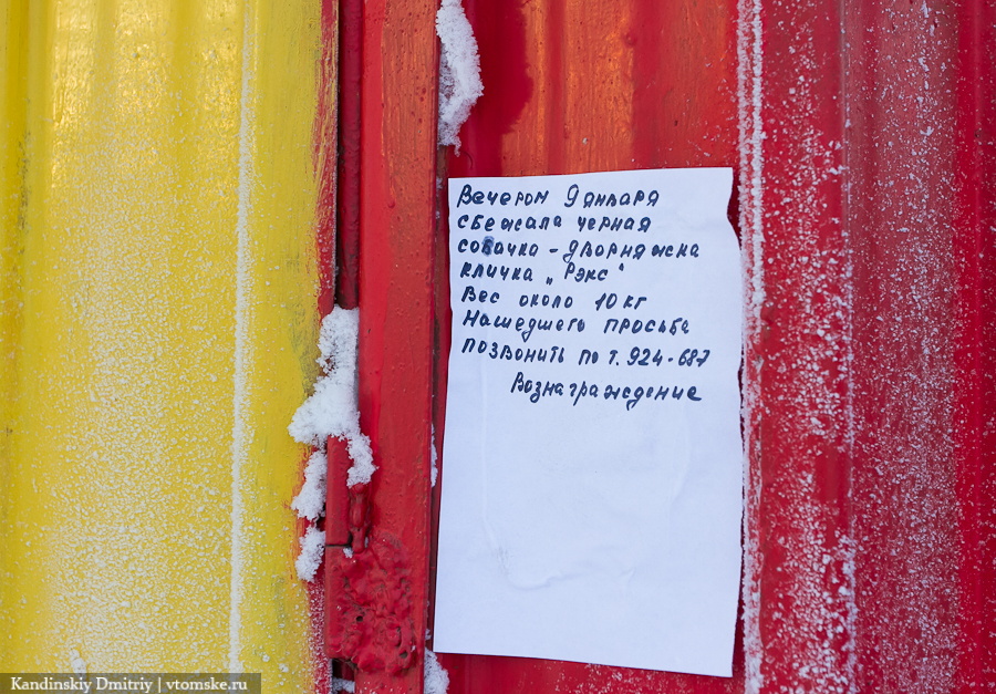 Хозяева гостиницы для собак готовы понести ответственность за сбежавшего щенка (фото)