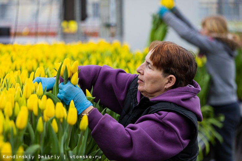 Более 2 млн тюльпанов вырастили в Томске к 8 Марта