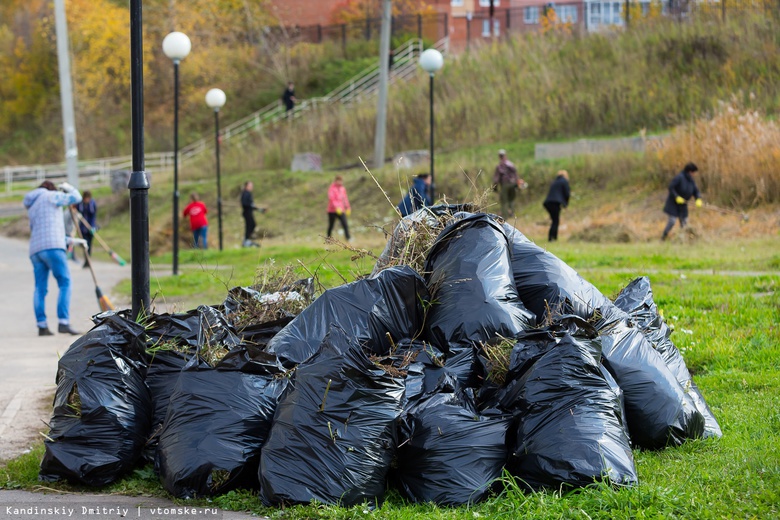 Более 1,5 тыс кубометров мусора собрали томичи на субботнике