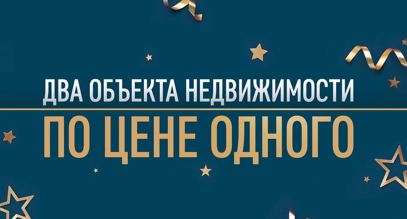 Новый год на носу: 2 объекта недвижимости по цене одного