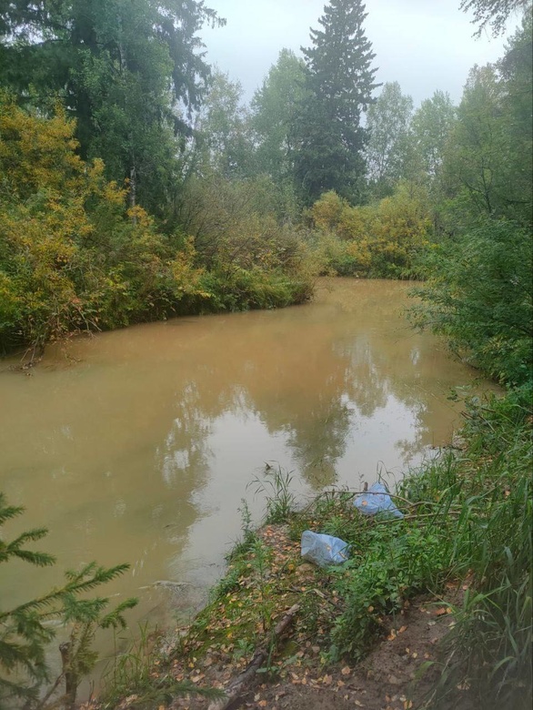 Прокуратура: «Сибагро» загрязняла томскую реку, причинив ущерб на 15 млн руб