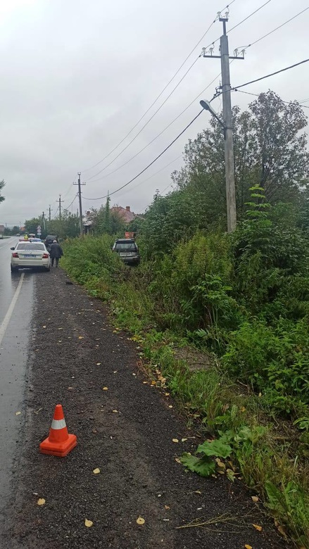 Водитель Mitsubishi насмерть сбил женщину на обочине дороги в Томском районе