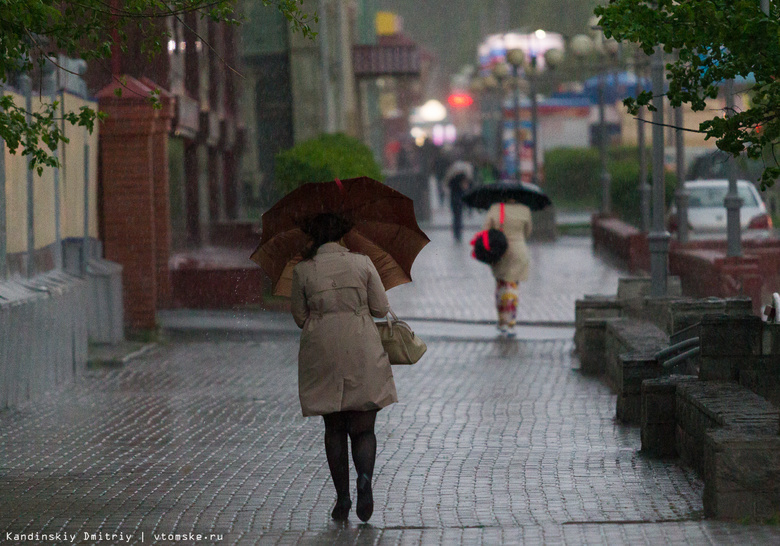 Дожди, грозы и сильный ветер ожидаются в Томской области в воскресенье