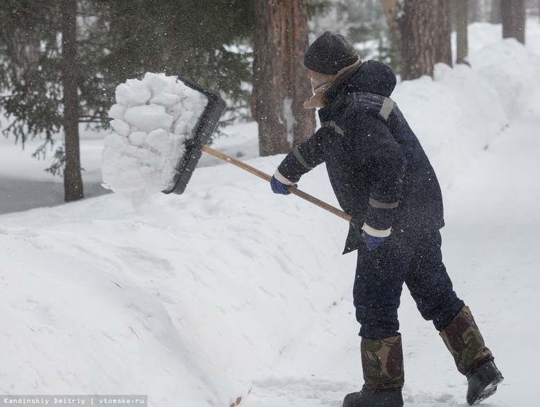 Жителей Томска просят почистить снег во дворах ветеранов и инвалидов