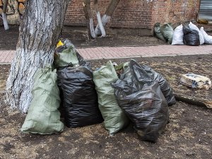 Дмитрий Кандинский