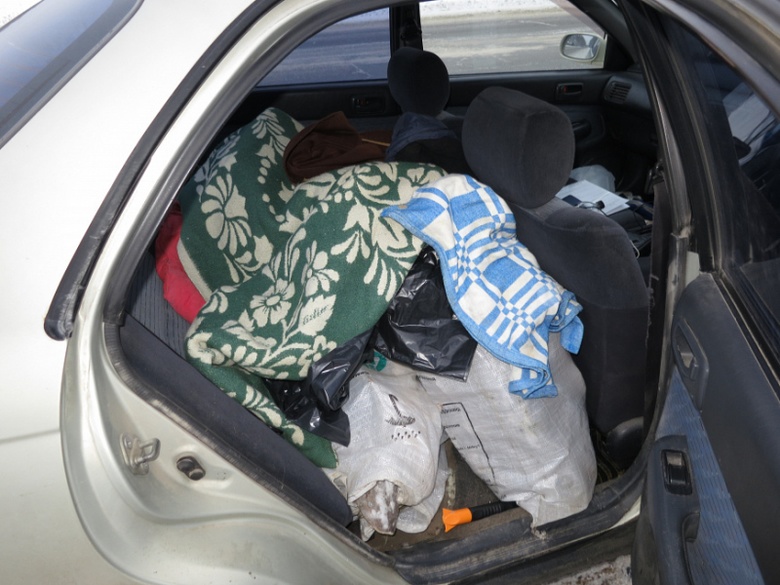 Полиция изъяла у водителя на томской трассе незаконно добытых осетров на 13 млн руб