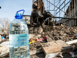 В северском зоопарке пояснили, почему не могут забрать медведей с улицы Восточной