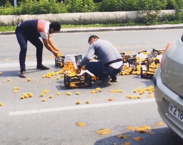 Рассыпавшиеся на дорогу абрикосы спровоцировали пробку в Томске
