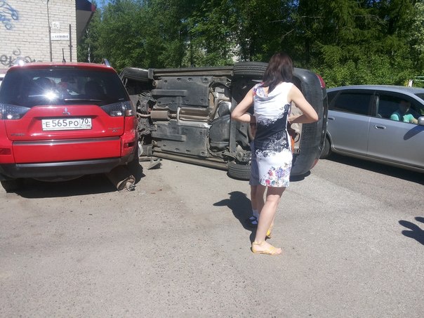 Северчанин перевернулся на автомобиле из-за залетевшей в окно осы (фото)