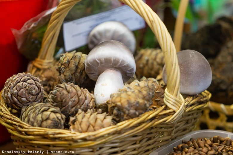 Озвучены объемы заготовки кедрового ореха, грибов и ягод в Томской области в 2022г