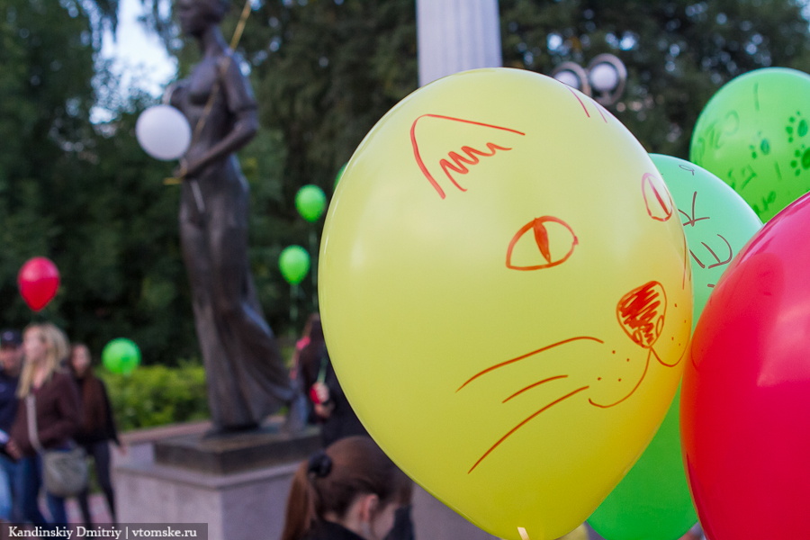 Томичи запустили в небо почти сотню воздушных шаров в поддержку бездомных животных (фото)