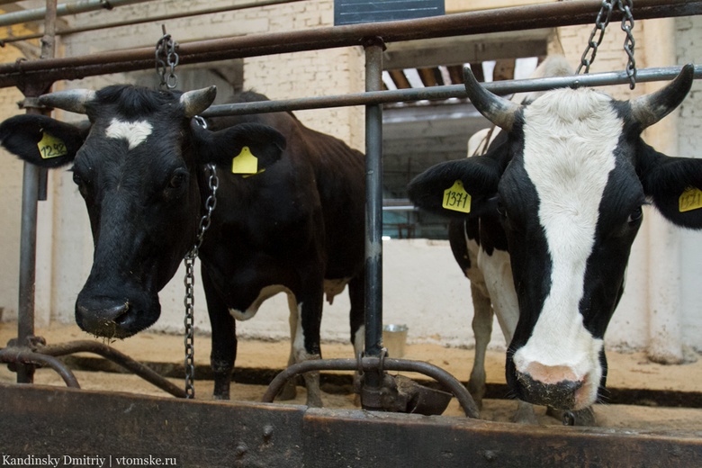 Двух коров и их хозяйку спасли из пожара в селе Томской области