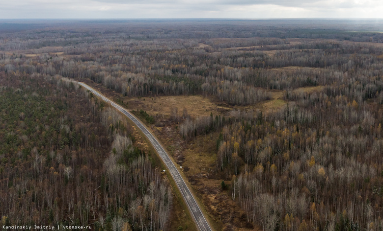 На дорогах Томской области за 3 года обустроят 10 км линий освещения