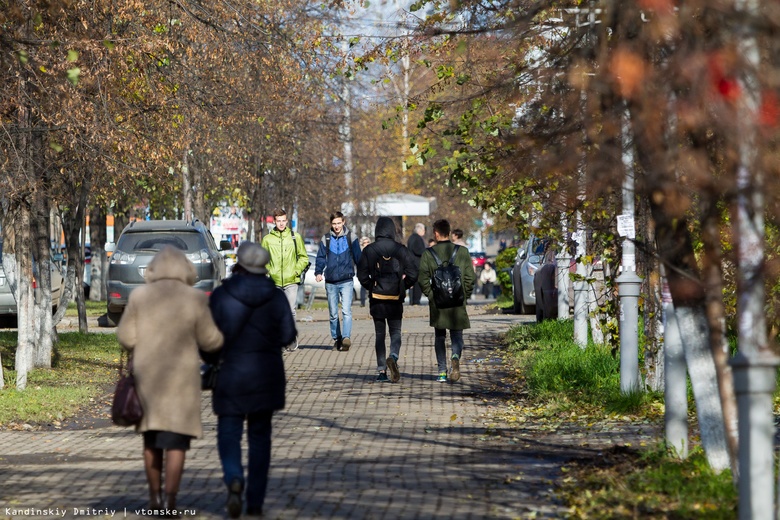 Эксперты объяснили появление в Томске большого количества насекомых