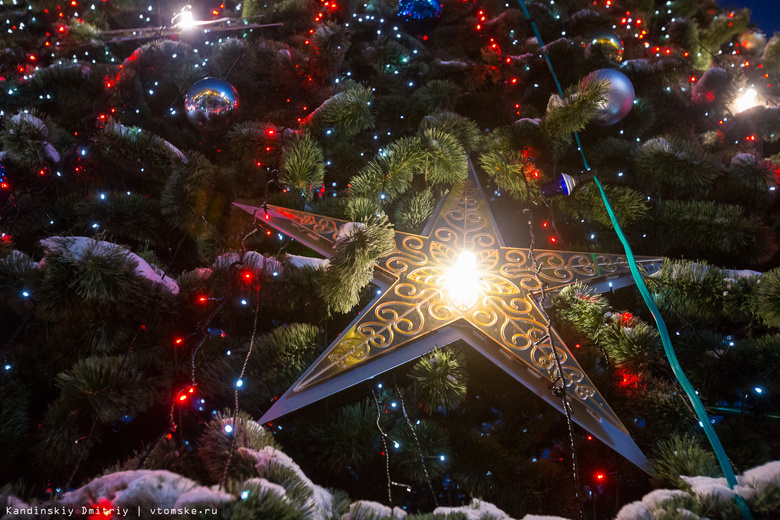 В Томске к Новому году появятся новые светодиодные деревья