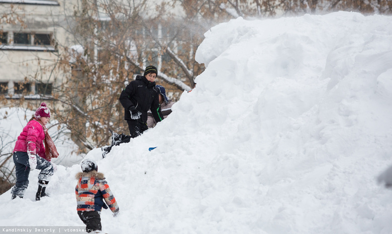 Мэр Томска поручил усилить контроль за вывозом снега в праздничные дни