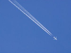 «Томск Авиа» обязали принимать на работу инвалидов