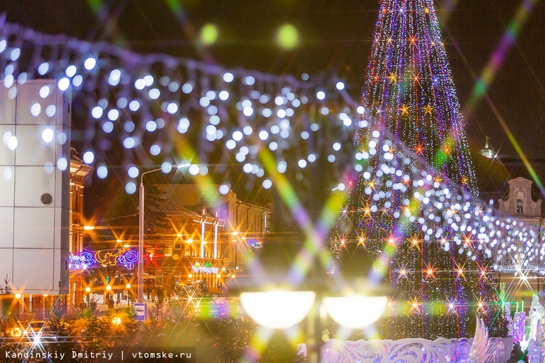 Монтаж главной новогодней ели начался в Томске