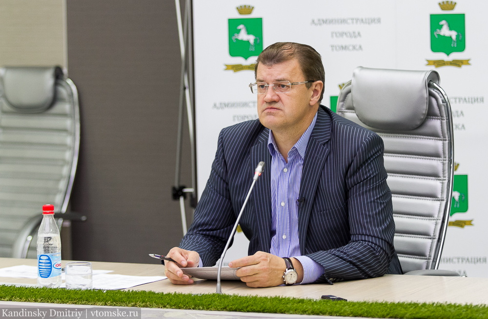Карнавал в Томске завершится праздничным салютом