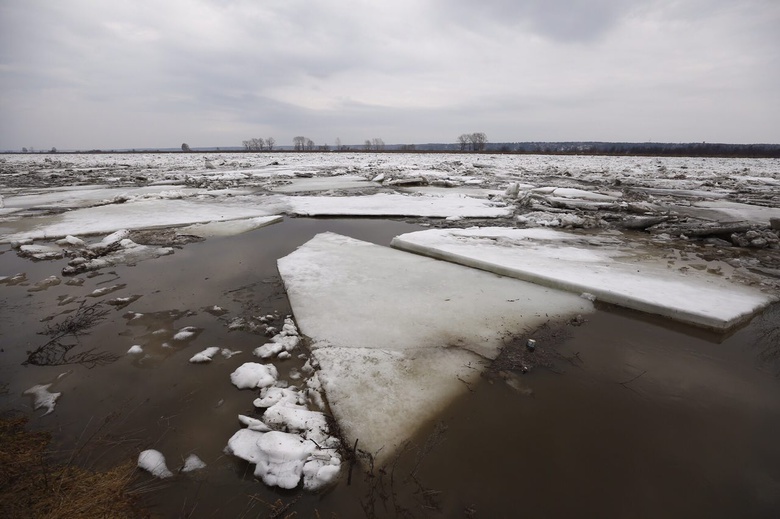 За сутки уровень воды в Томи у Лагерного сада повысился на полметра