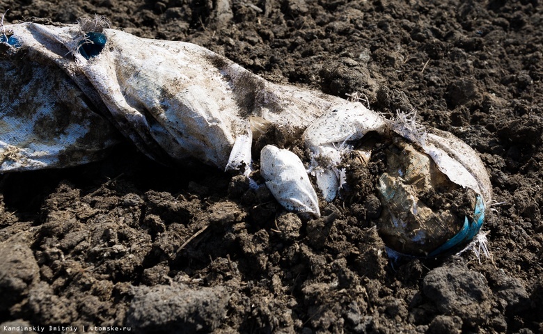 Склад свиного навоза нашли на сельхозземлях у Корнилово. После предостережения отходы убрали