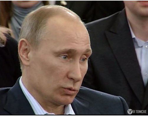 Владимир Путин одобрил критику своей персоны в Интернете