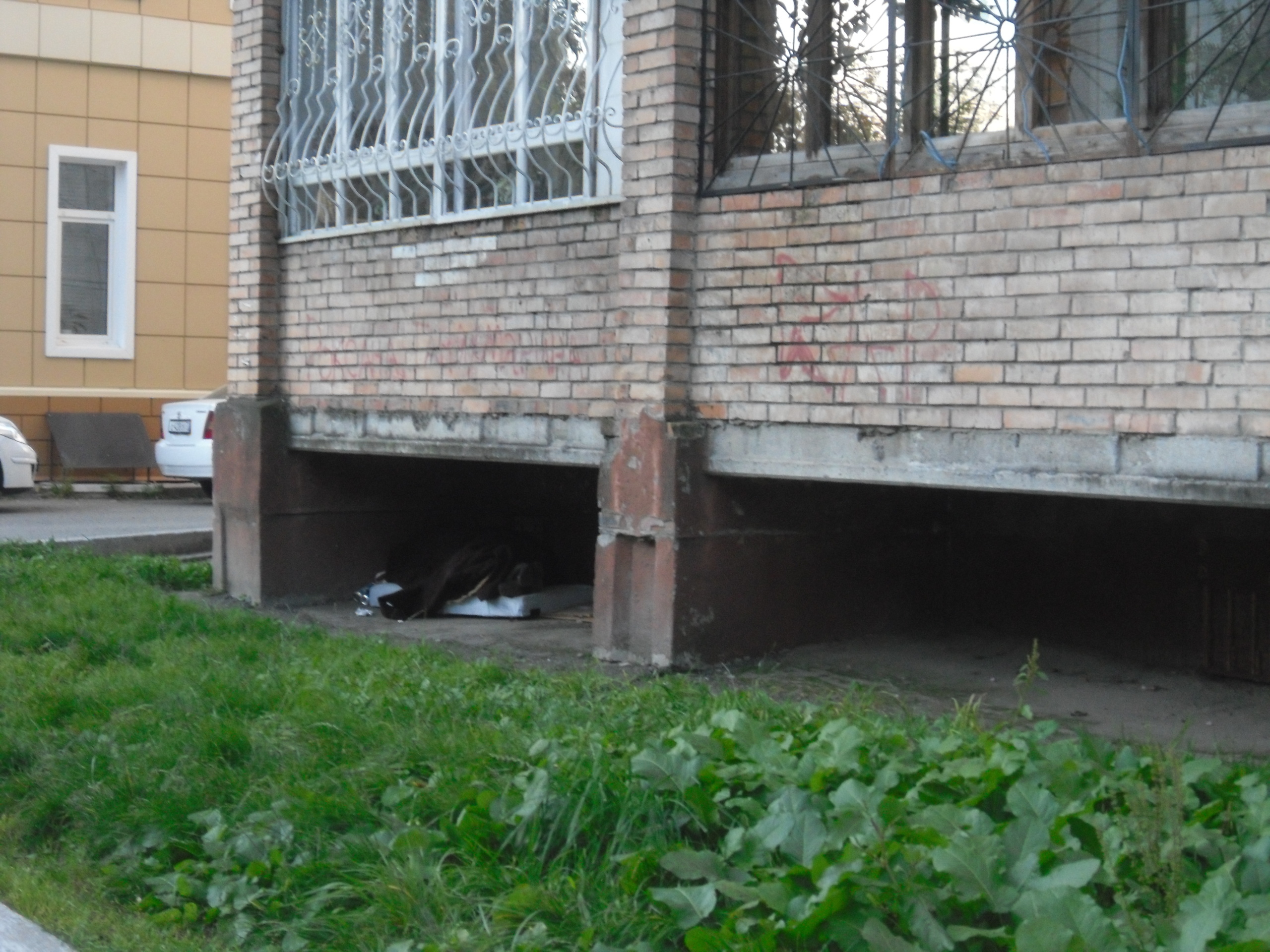 Народные новости: куда определить соседа? (фото)