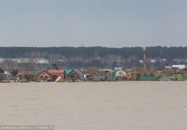 Уровень воды в Томи начинает падать